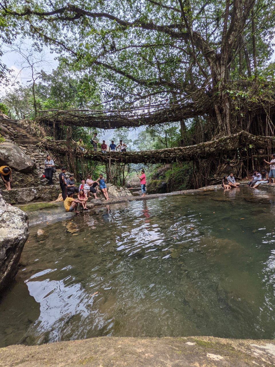 Photo of Root Bridge, Meghalaya, India by Anuj Khandelwal