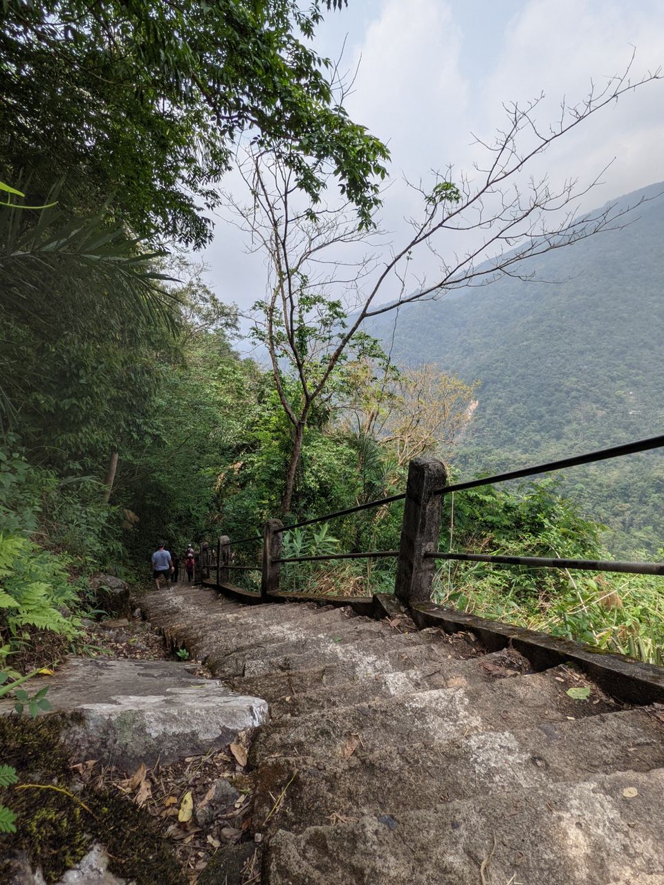 Photo of Root Bridge, Meghalaya, India by Anuj Khandelwal