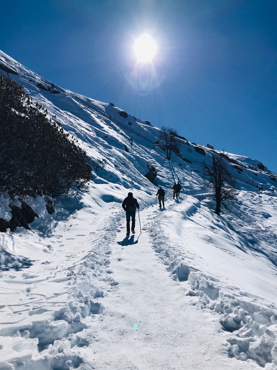 Photo of Winter Trekking- The Mighty Tungnath by Anuj Khandelwal