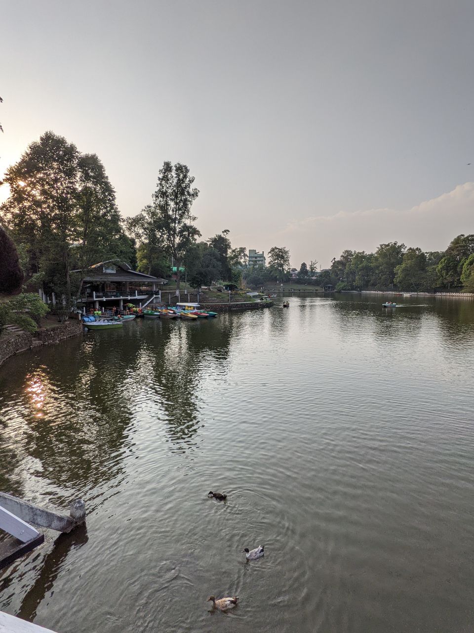 Photo of Ward's Lake, Police Bazar, Shillong, Meghalaya by Anuj Khandelwal