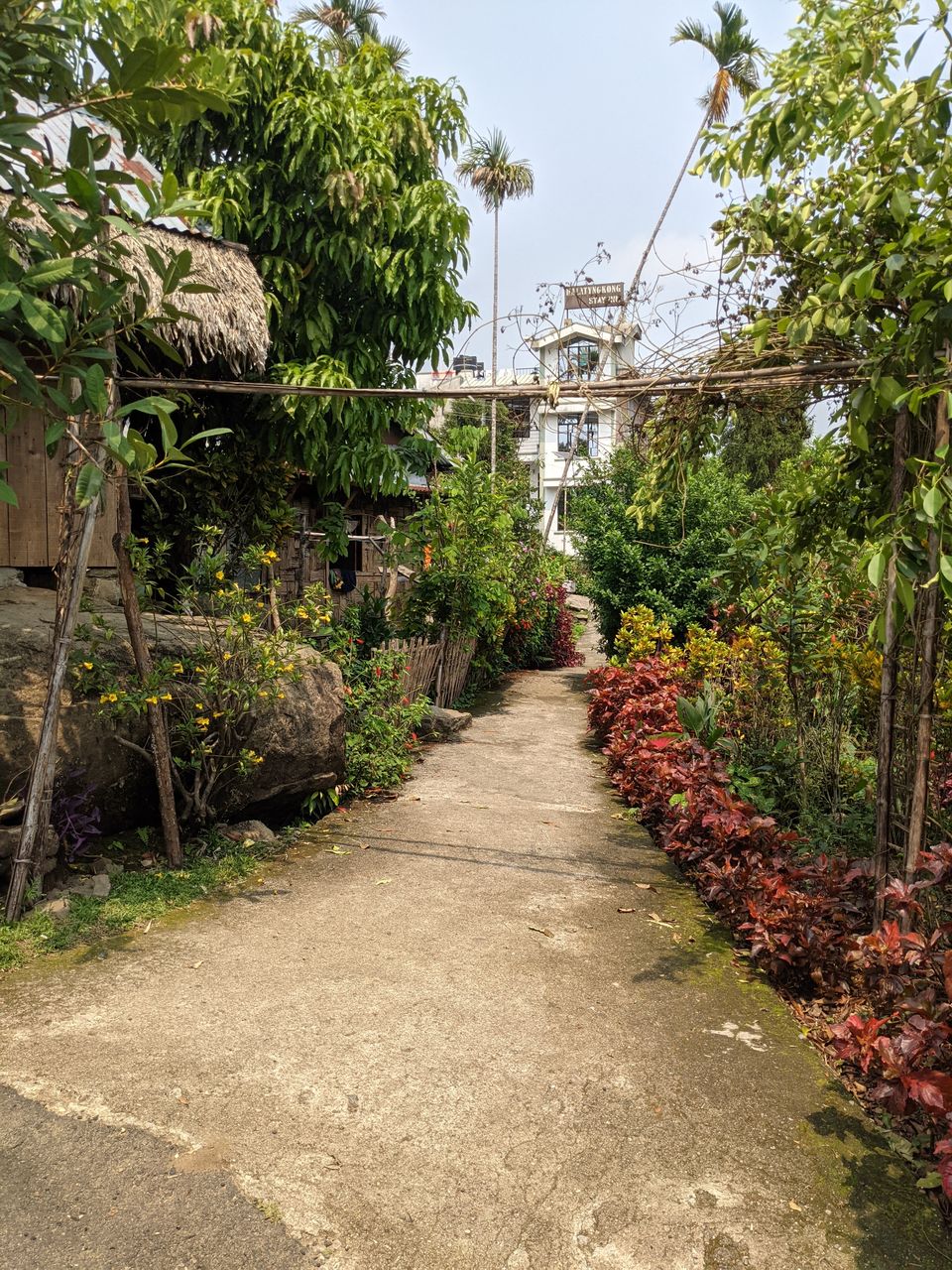 Photo of Mawlynnong - Cleanest Village, Mawlynnong, Meghalaya, India by Anuj Khandelwal
