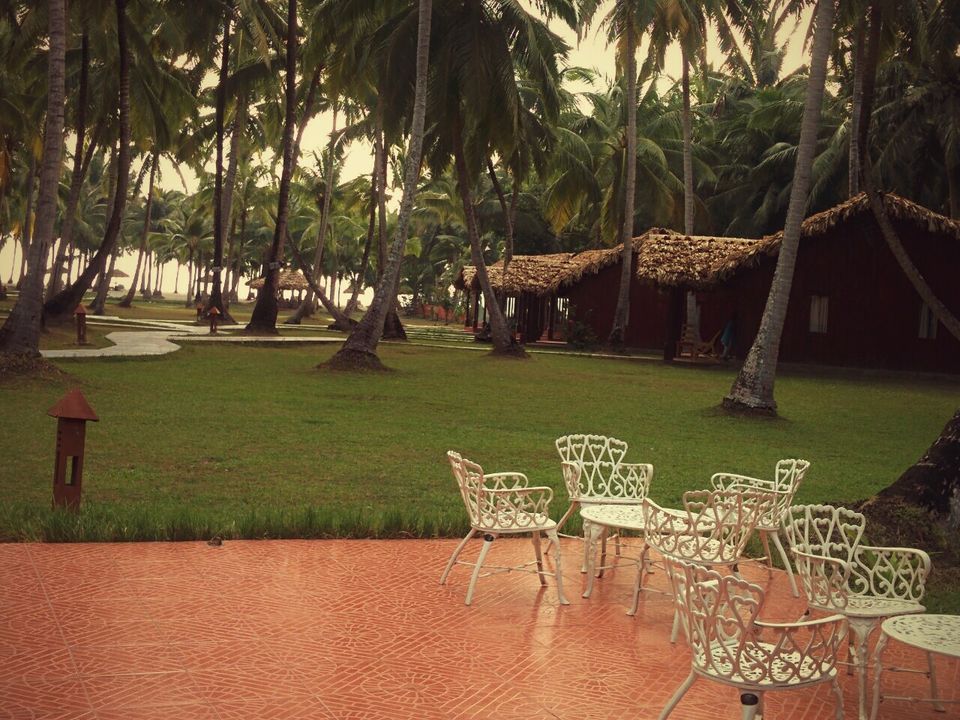 Photo of Andamans: Nirvana in the Exotic 2/12 by Shivangi Jalan
