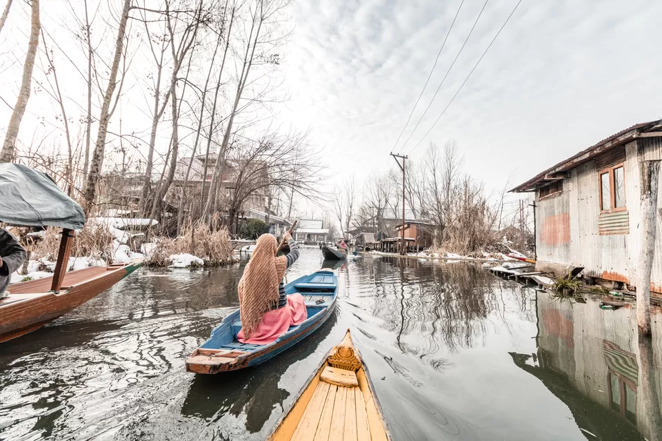 Photo of Why Living Next to Dal Lake Is Part of My Retirement Plan by Kinshuk J Mehta