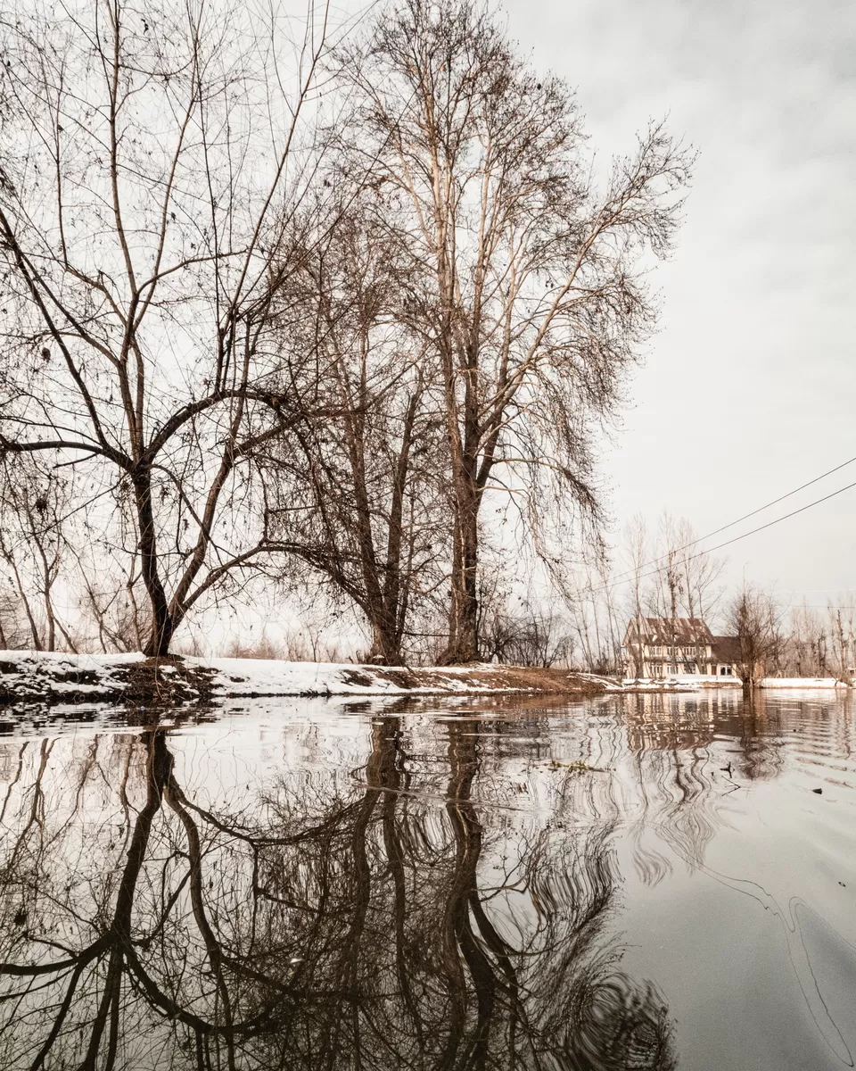 Photo of Why Living Next to Dal Lake Is Part of My Retirement Plan by Kinshuk J Mehta