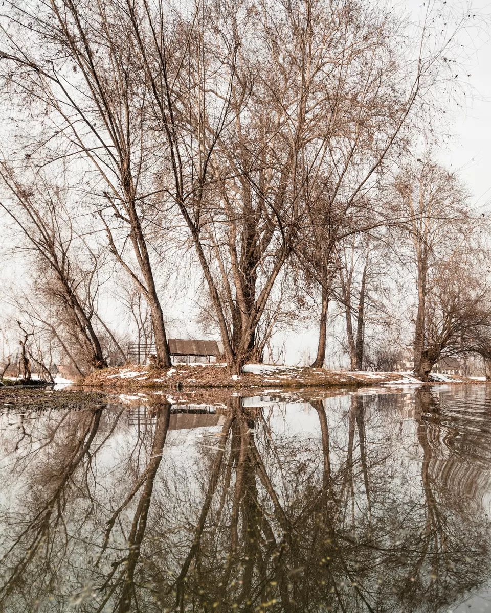 Photo of Why Living Next to Dal Lake Is Part of My Retirement Plan by Kinshuk J Mehta