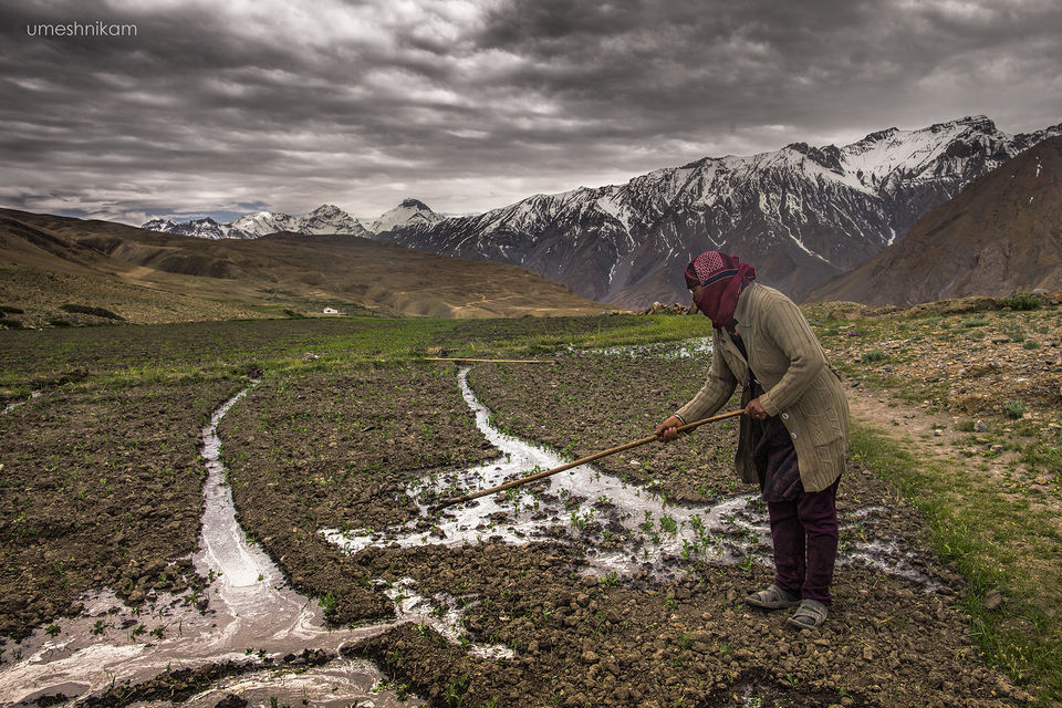 Photo of The Serene Spiti by umesh nikam