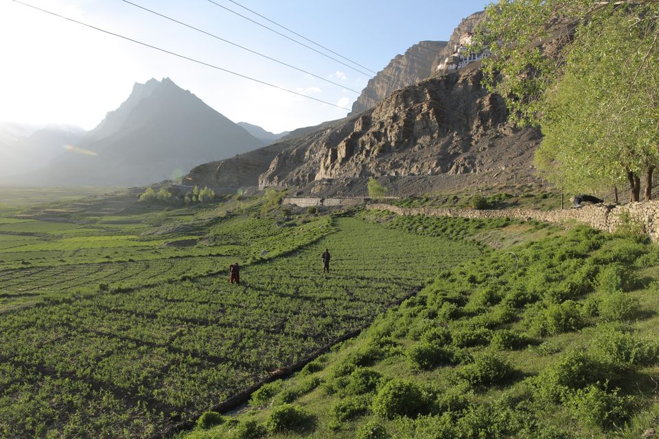 Photo of The Serene Spiti by umesh nikam