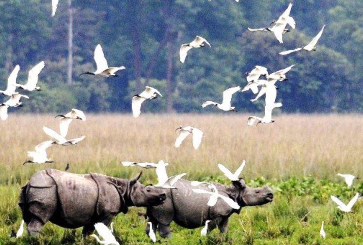 Photo of About Kaziranga National Park 1/4 by Wildlife Tourism