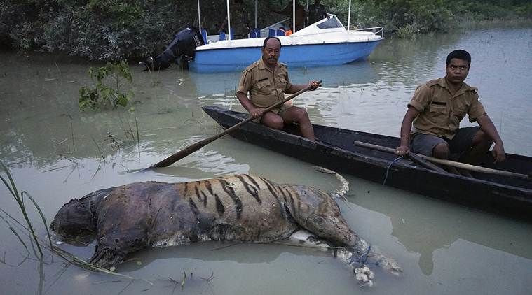 Photo of About Kaziranga National Park 4/4 by Wildlife Tourism