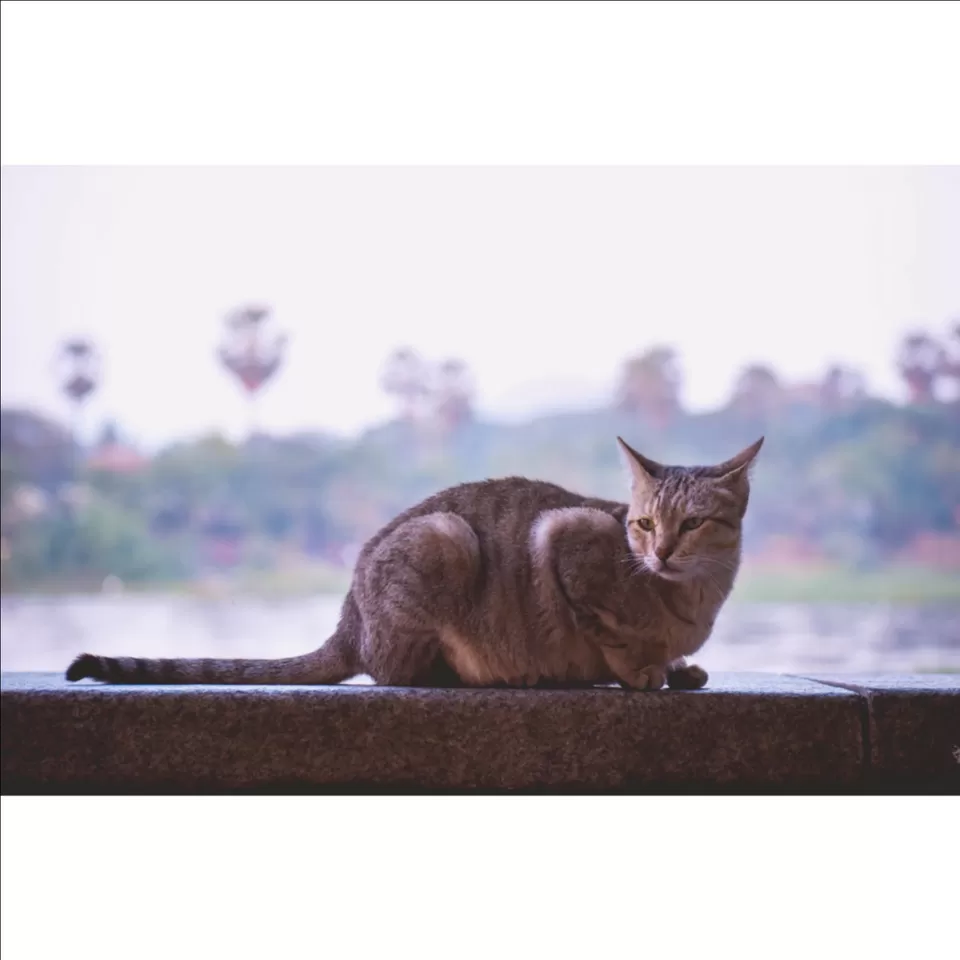 Photo of Banjaara in Bombae by Maruf Ansari
