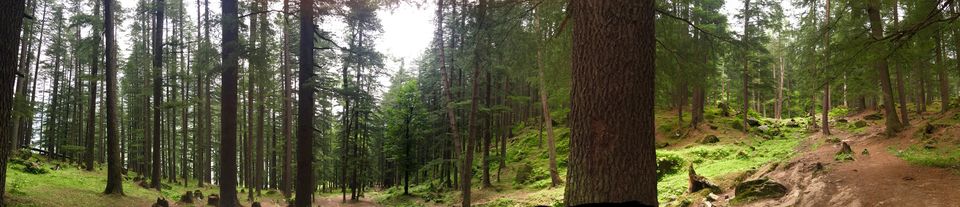 Photo of Pulga, मणिकर्ण - बर्शेणी सड़क, Sosan, Himachal Pradesh, India by Nithin Chandy