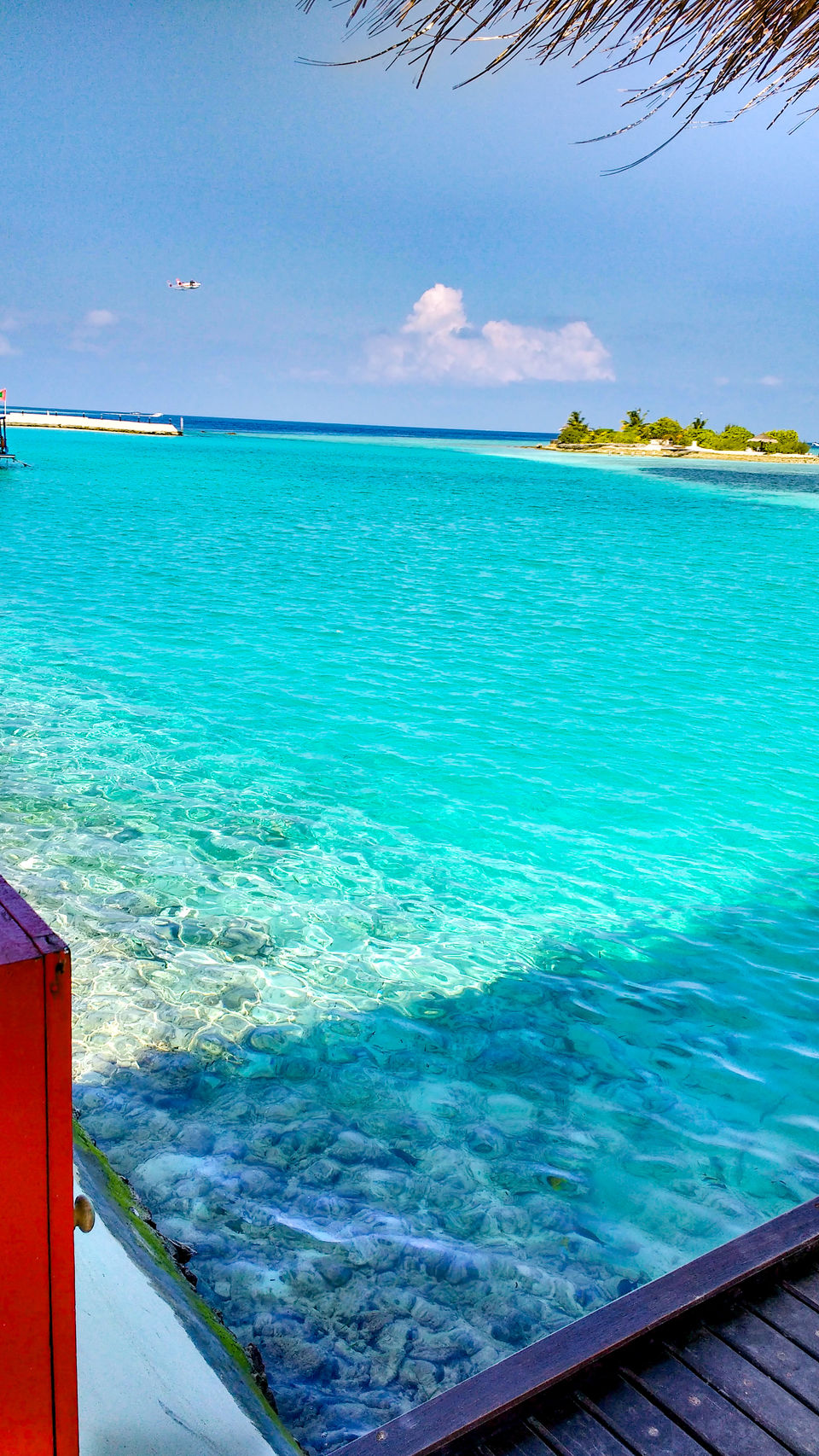 Photo of This is the colour we love the most of mother nature! #colourblue 1/22 by Nagajyoti