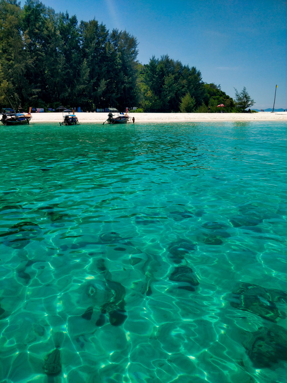 Photo of This is the colour we love the most of mother nature! #colourblue 16/22 by Nagajyoti