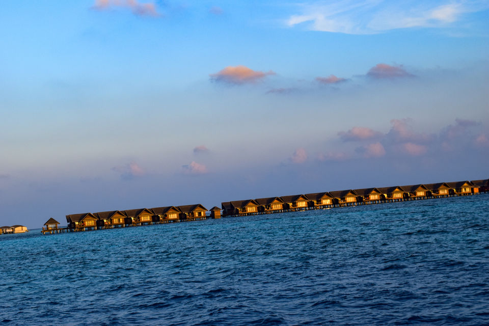 Photo of This is the colour we love the most of mother nature! #colourblue 21/22 by Nagajyoti