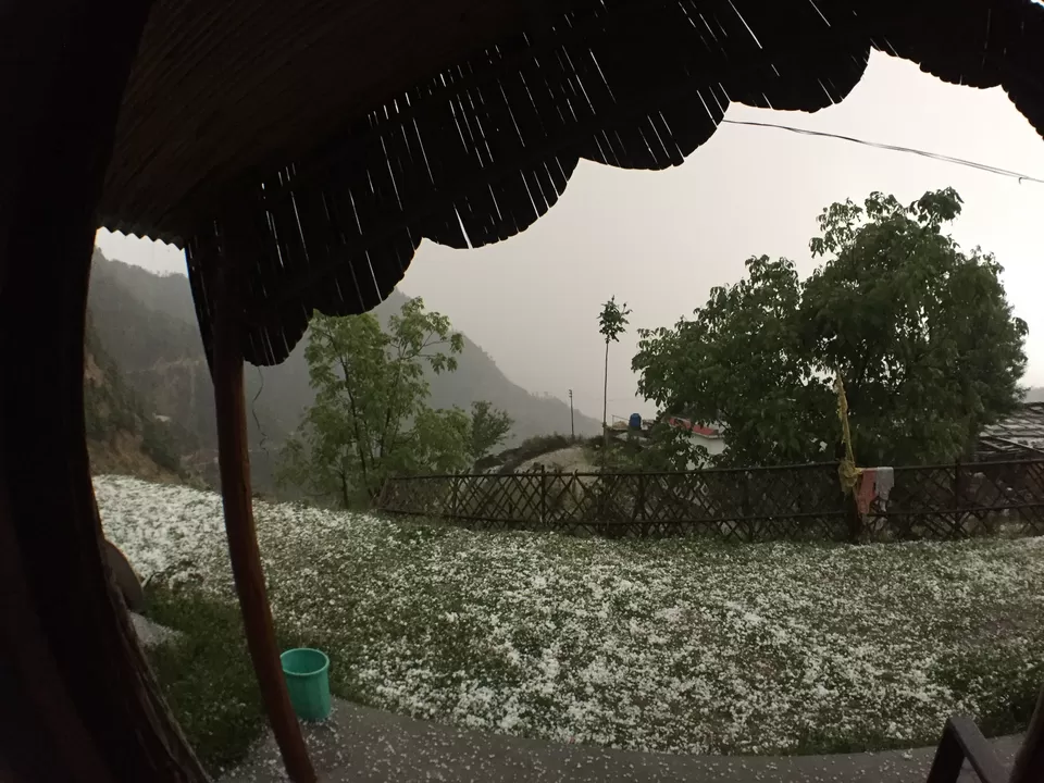 Photo of Chamoli, Uttarakhand, India by Sujata