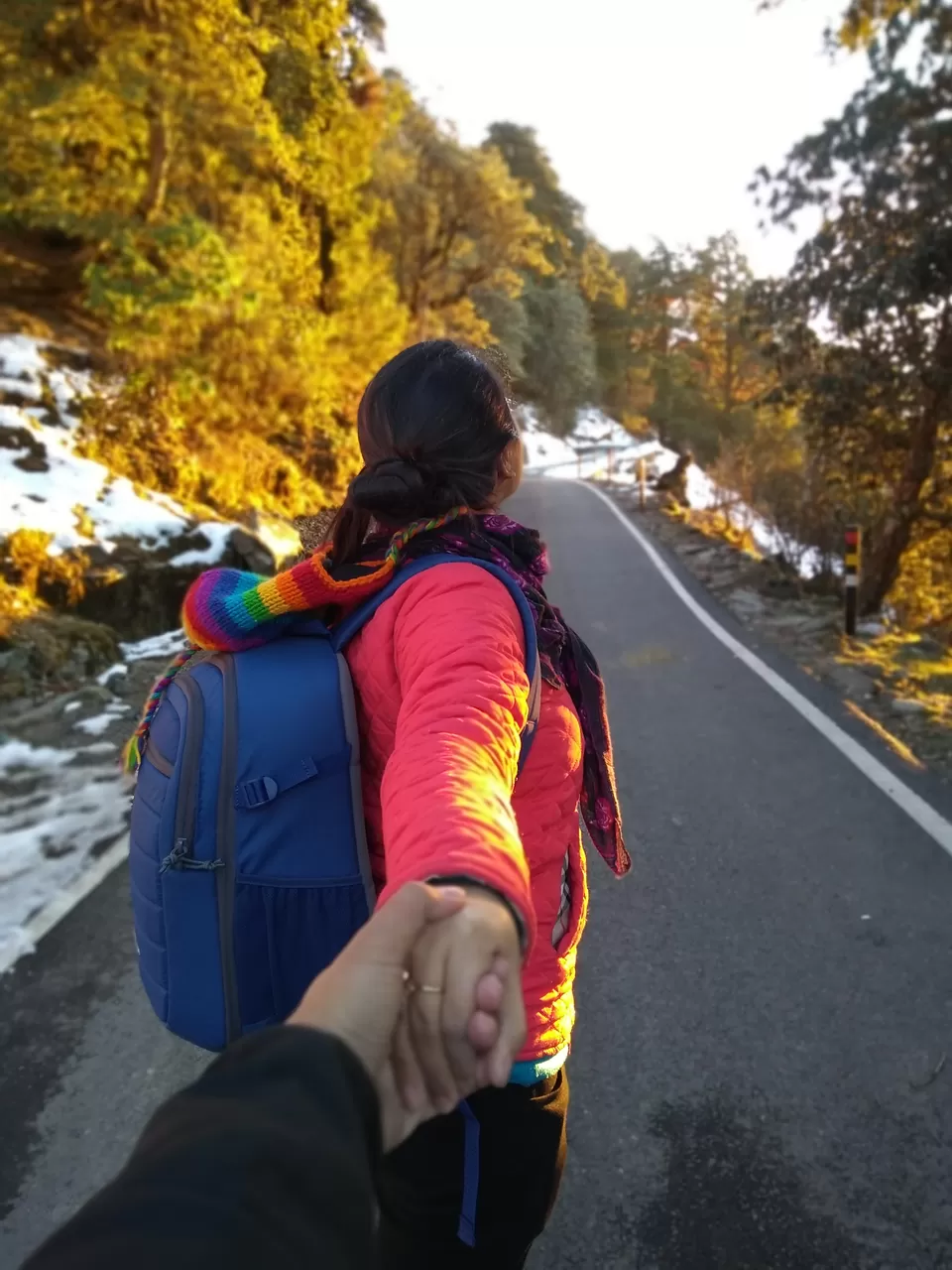 Photo of Chopta, Uttarakhand, India by Sujata