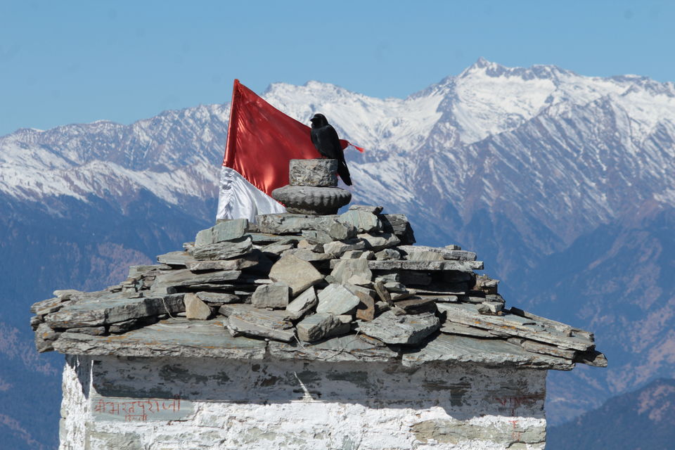 Photo of Couple Compatibility Check :) via Tungnath- Chandrashila by Sujata