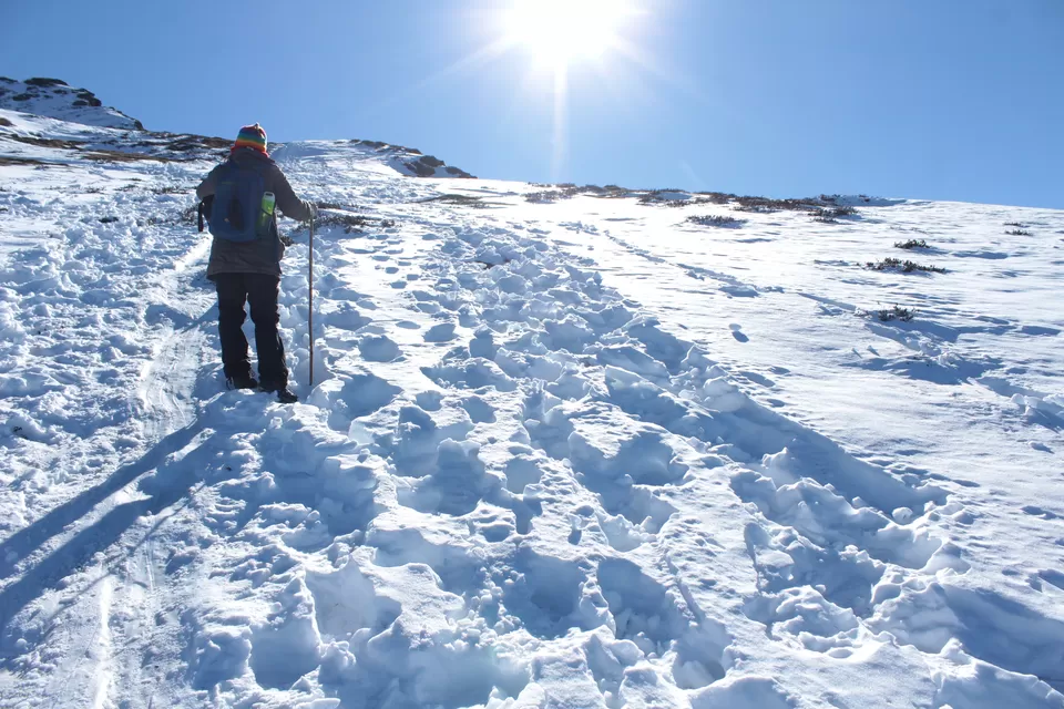 Photo of Chopta, Uttarakhand, India by Sujata