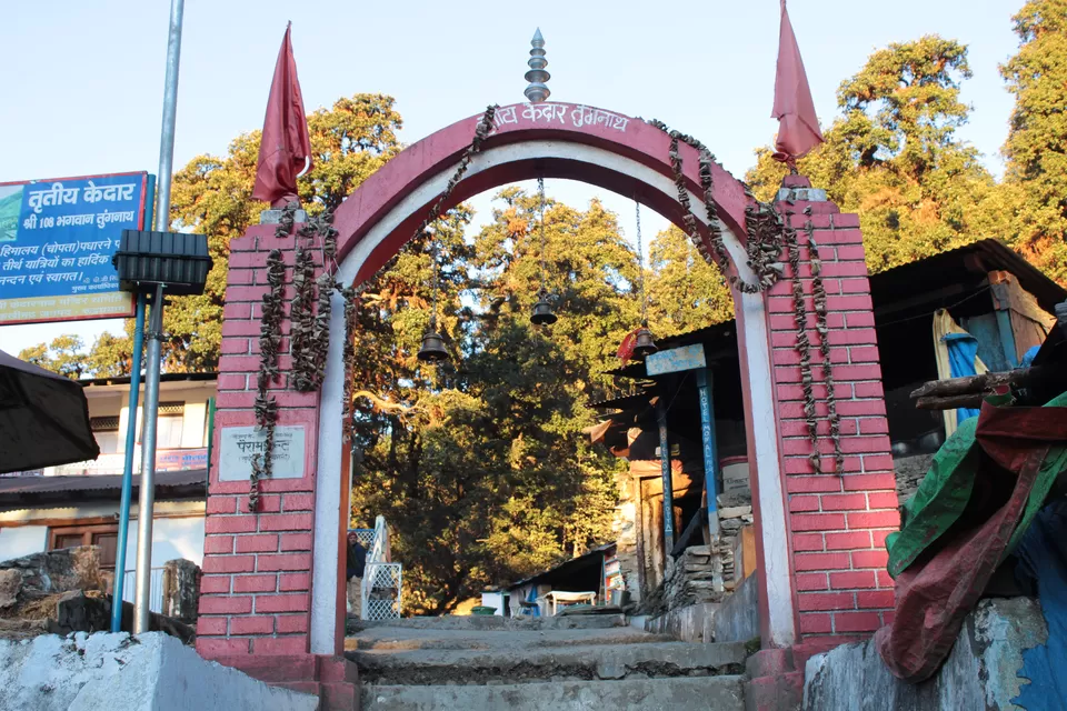Photo of Chopta, Uttarakhand, India by Sujata