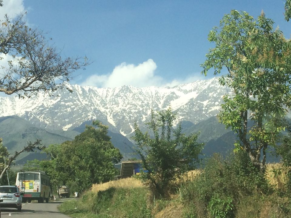 Photo of Visit to the 2nd capital of Himachal Pradesh – Dharamshala by Sujata