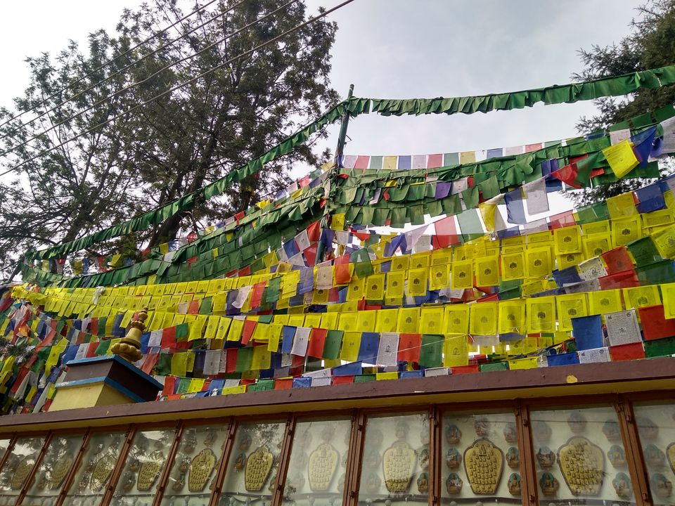 Photo of Visit to the 2nd capital of Himachal Pradesh – Dharamshala by Sujata