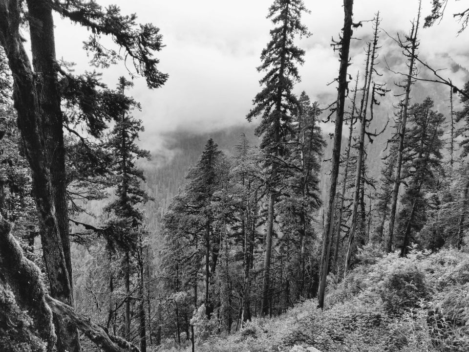 Photo of Shrikhand Kailash (Rampur himachal) by SHIVAN SAINI