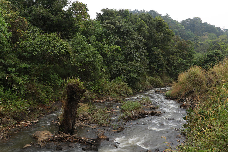 Photo of Exploring Kerala - A Trip to secret pristine places Vagamon & Allepey by Nithya Rajapandian