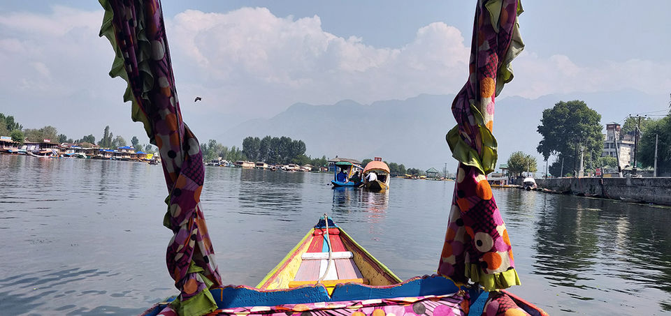 Photo of Srinagar - a dream place except for..... by Nithya Rajapandian
