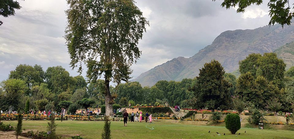 Photo of Srinagar - a dream place except for..... by Nithya Rajapandian
