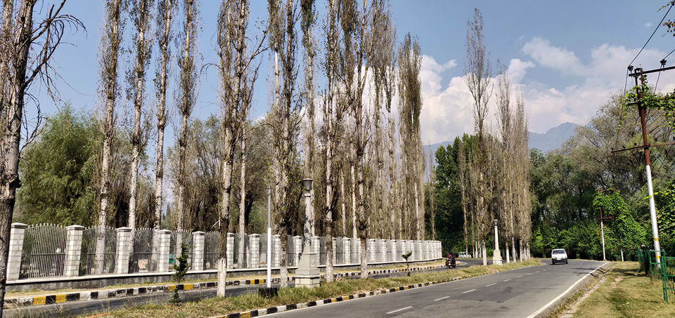 Photo of Srinagar - a dream place except for..... by Nithya Rajapandian