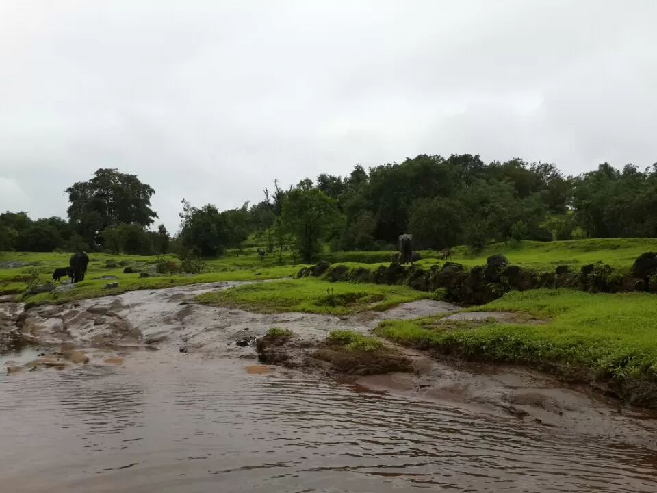 Photo of Madheghat RdKarnavadi, Maharashtra 412212 by Milind Gupta