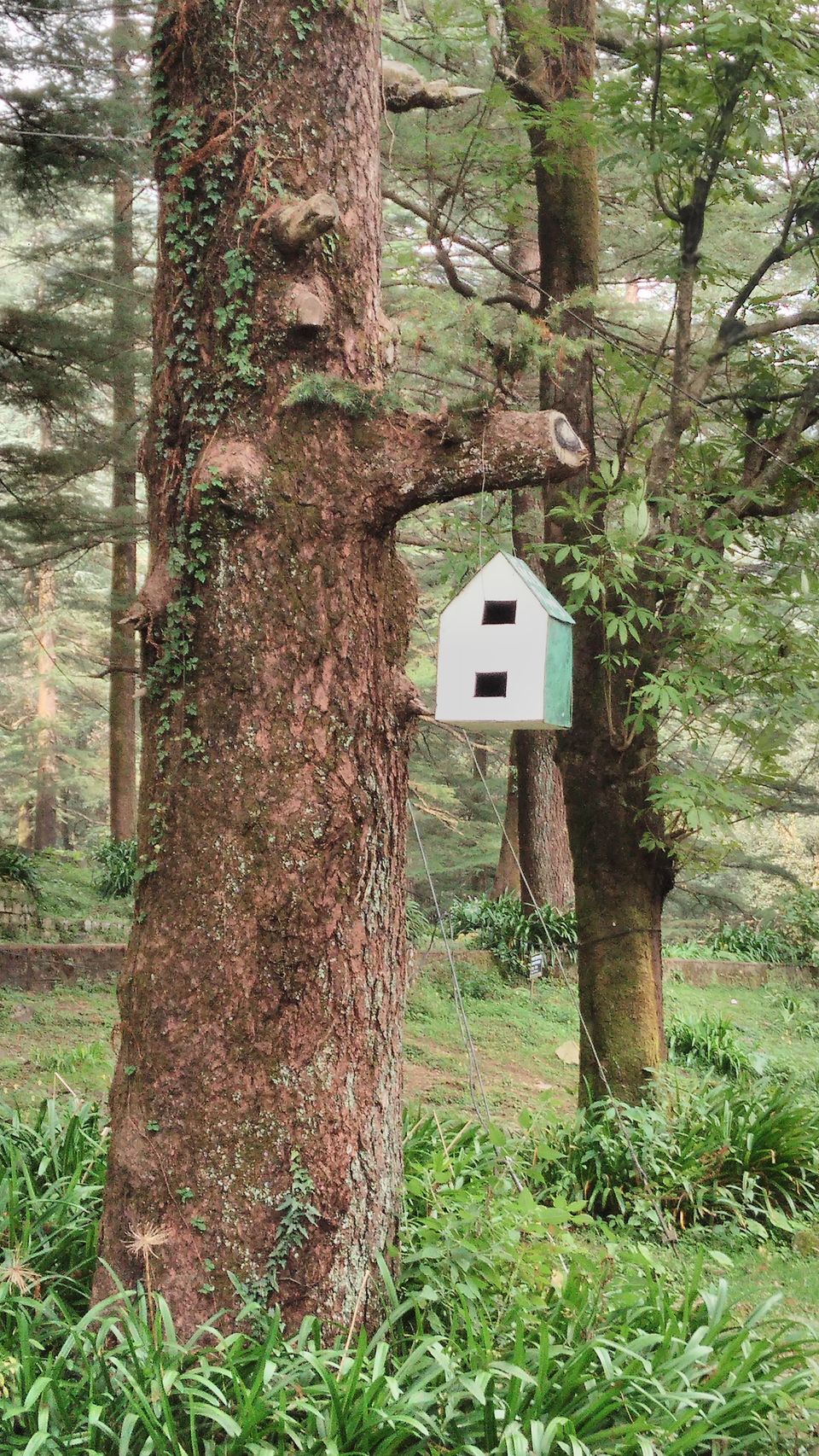 Photo of Bhagsu Nag, Dharamshala, Himachal Pradesh, India by Bibhas