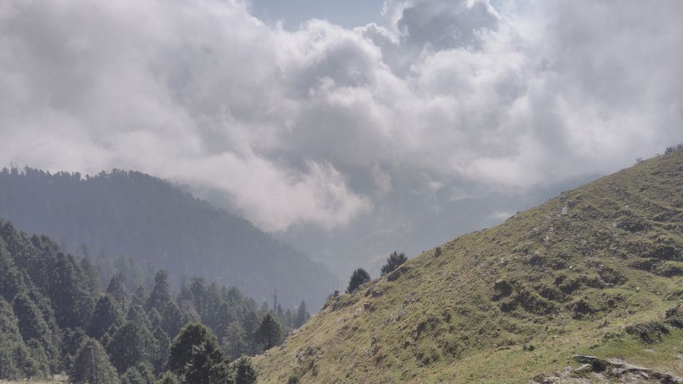 Photo of Kalatop Wildlife Sanctuary, Kalatope R.F, Himachal Pradesh, India by Bibhas