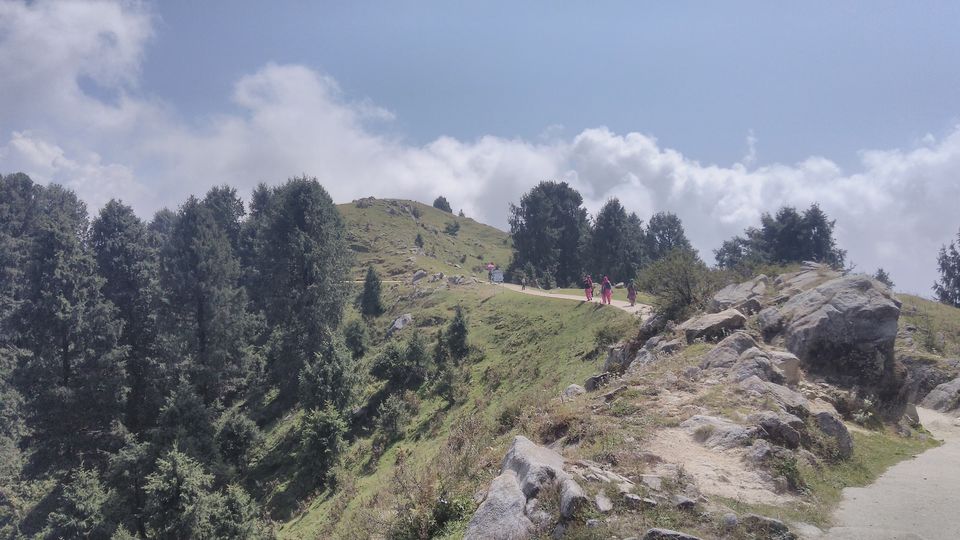 Photo of Kalatop Wildlife Sanctuary, Kalatope R.F, Himachal Pradesh, India by Bibhas