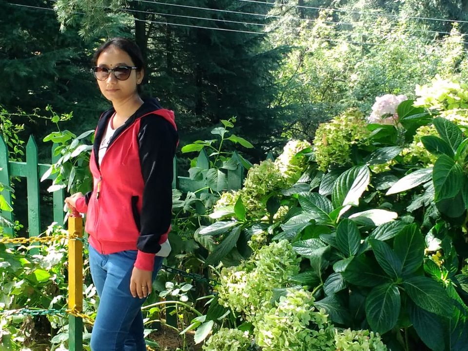 Photo of Kalatop Wildlife Sanctuary, Kalatope R.F, Himachal Pradesh, India by Bibhas