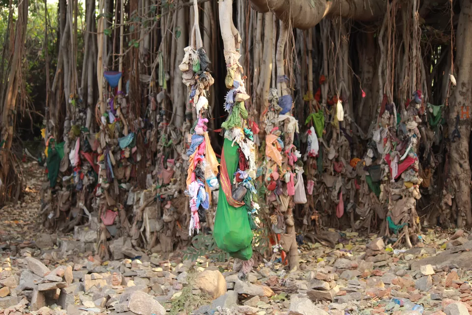 Photo of The sacred banyan tree, Nimbapura, Karnataka, India by Aashi Pawaiya