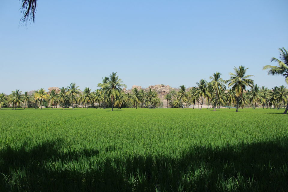 Photo of Anjanhalli, Karnataka, India by Aashi Pawaiya