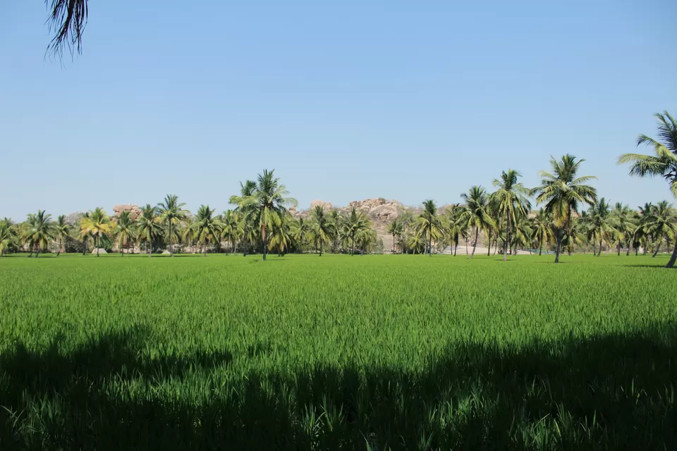 Photo of Anjanhalli, Karnataka, India by Aashi Pawaiya