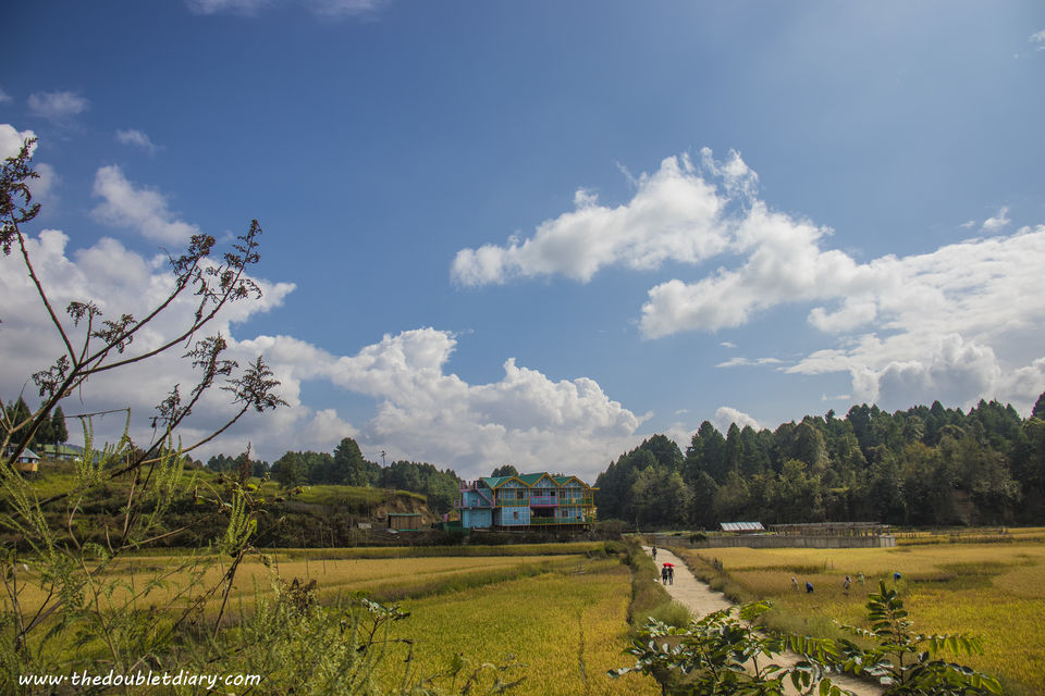 Photo of Ziro festival of Music: Our experience at ZFM 2018 by thedoubletdiary