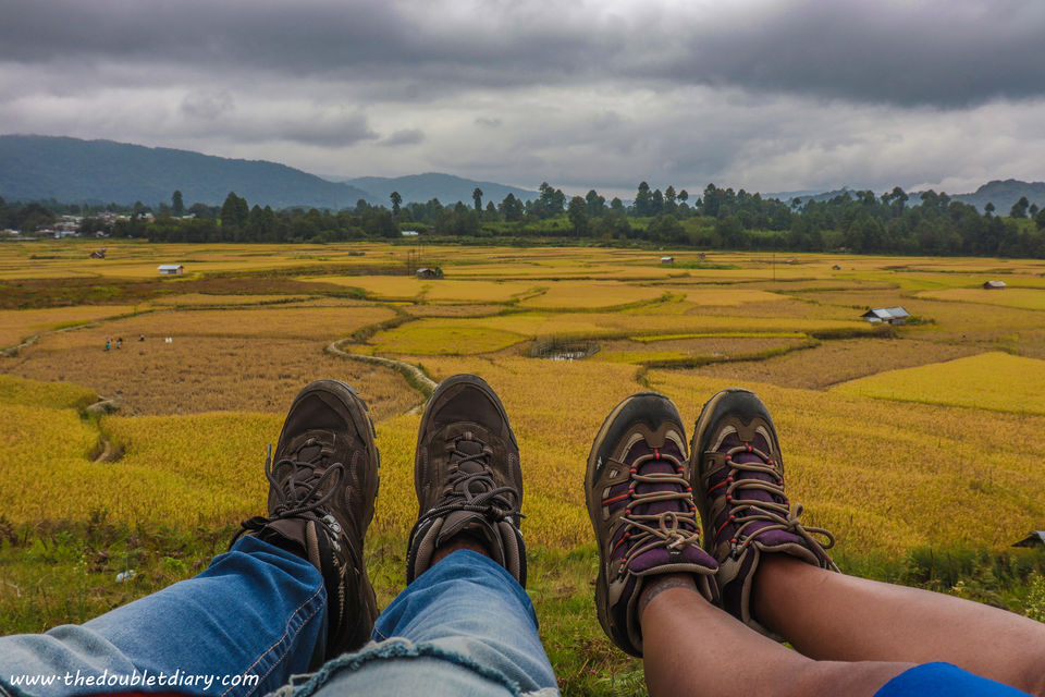 Photo of Ziro festival of Music: Our experience at ZFM 2018 by thedoubletdiary