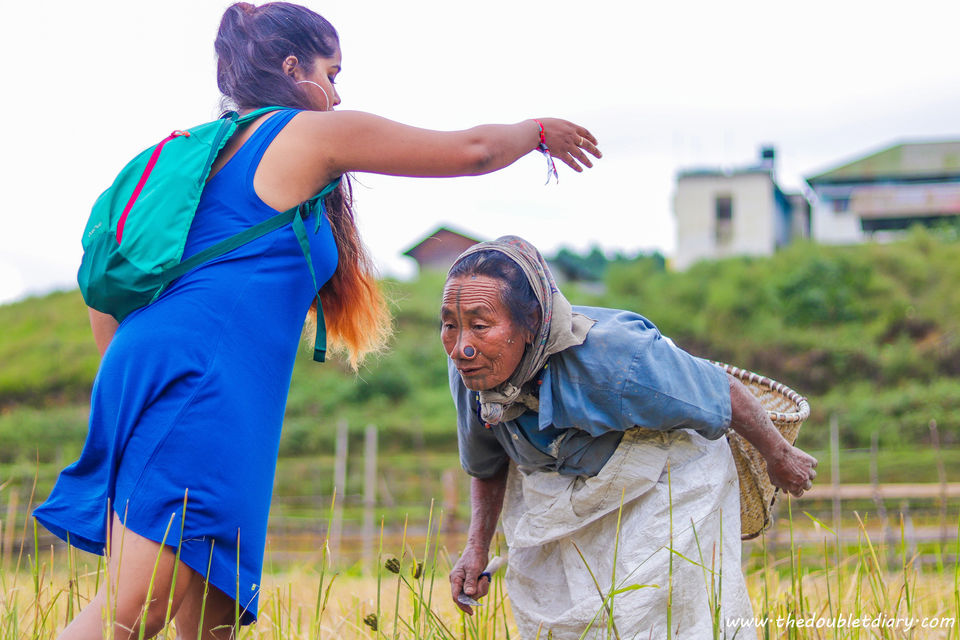 Photo of Ziro festival of Music: Our experience at ZFM 2018 by thedoubletdiary