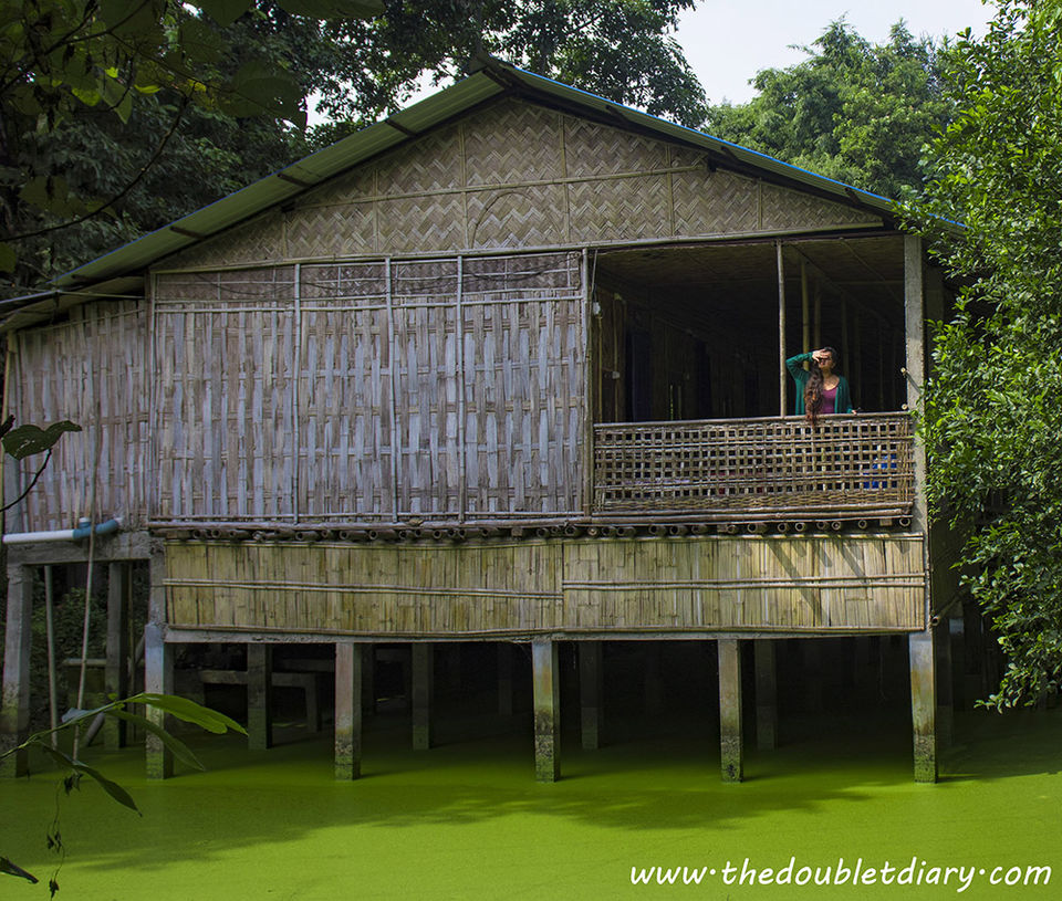Photo of 10 reasons why Majuli should be your next travel destination! by thedoubletdiary