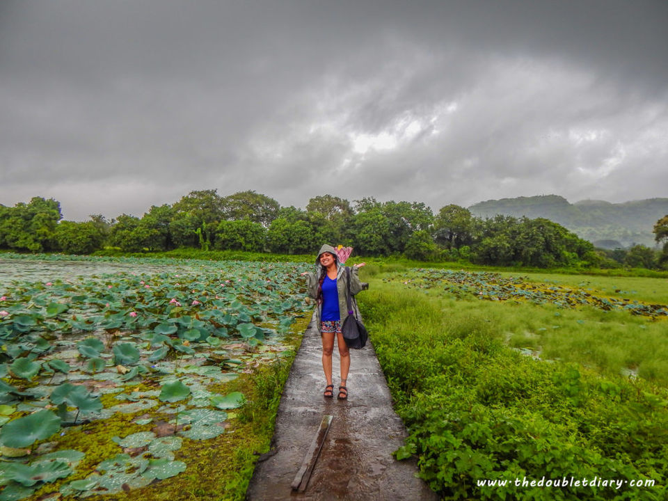 Photo of Riding in the clouds: A monsoon biketrip along Konkan beaches by thedoubletdiary