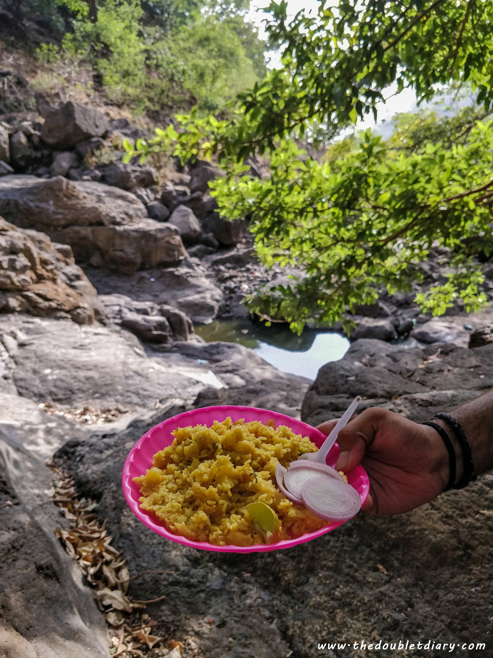 Photo of One day in Valley of Shadows: Sandhan valley full trek by thedoubletdiary