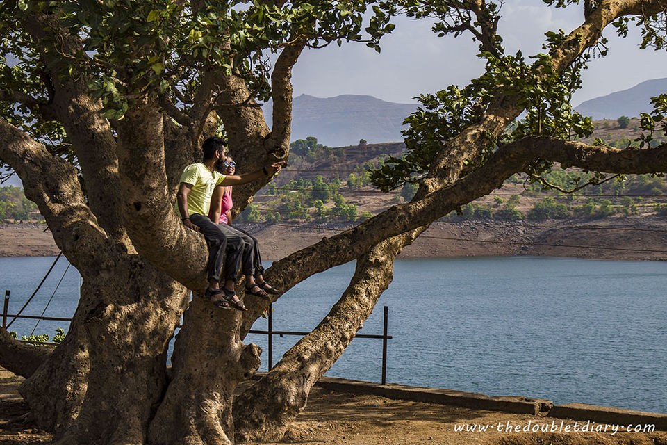 Photo of Witness magical fireflies festival in Bhandardara: A weekend getaway near Mumbai by thedoubletdiary