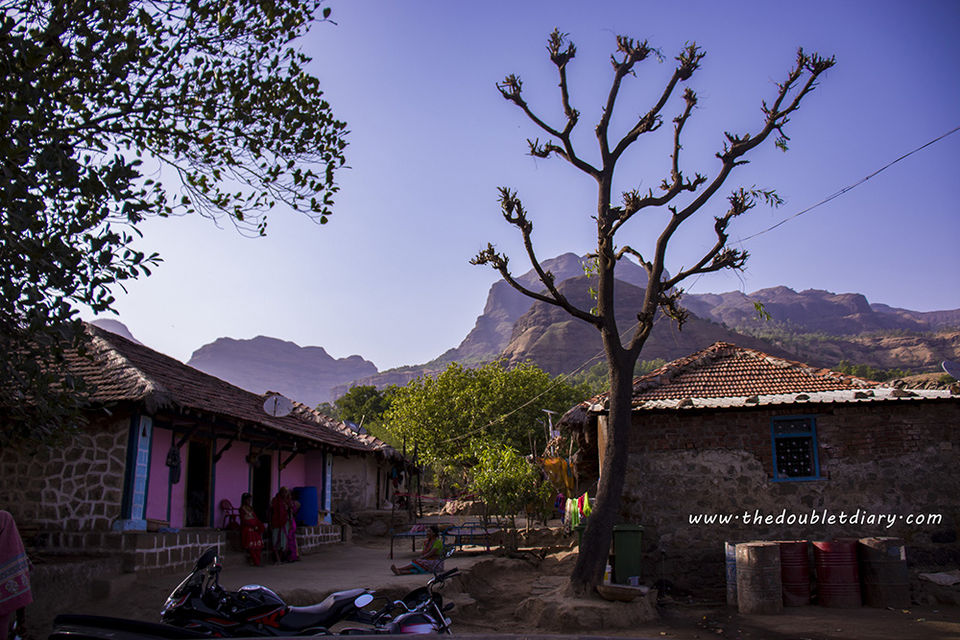 Photo of Witness magical fireflies festival in Bhandardara: A weekend getaway near Mumbai by thedoubletdiary