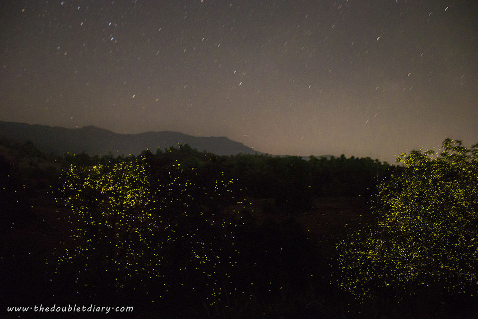 Photo of Witness magical fireflies festival in Bhandardara: A weekend getaway near Mumbai by thedoubletdiary
