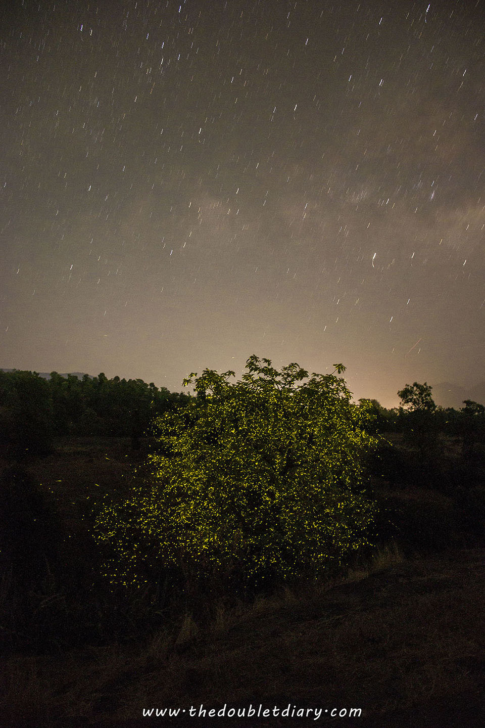 Photo of Witness magical fireflies festival in Bhandardara: A weekend getaway near Mumbai by thedoubletdiary
