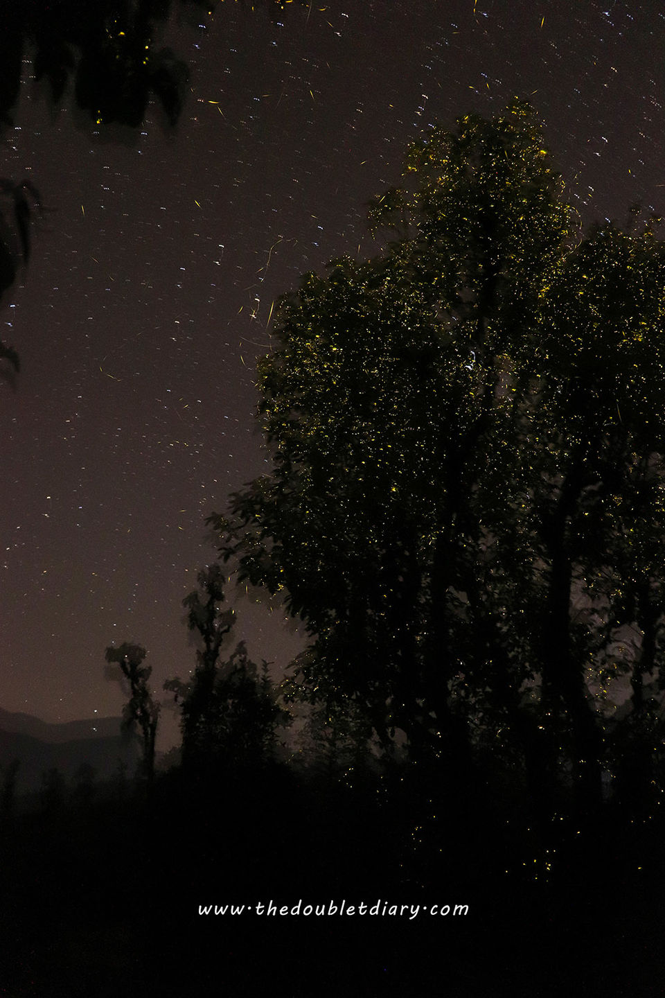 Photo of Witness magical fireflies festival in Bhandardara: A weekend getaway near Mumbai by thedoubletdiary