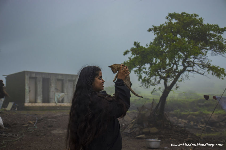 Photo of Weekend getaway to Naneghat and Malshej-ghat : Monsoon biketrip near Mumbai by thedoubletdiary